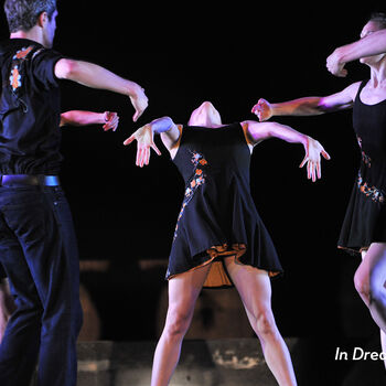 In Dreams, by Trey McIntyre